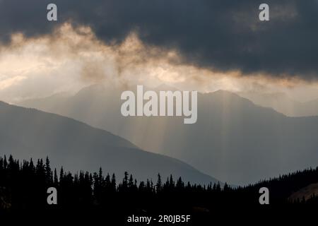 Crinale blu strati di montagna con nuvole in lontananza, raggi di sole che splende attraverso, e alberi su colline e prati in primo piano in Olympic National P Foto Stock