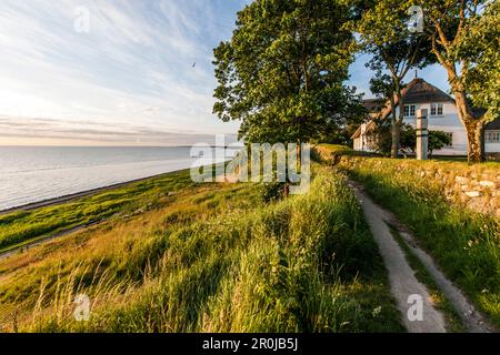 Casa con tetto di paglia vicino al Mare di Wadden in alba, Keitum, Sylt, Schleswig-Holstein, Germania Foto Stock
