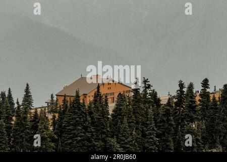 Washington, USA-14 settembre 2022: Vista ad angolo alto dell'Olympic National Park Hurricane Ridge Day Lodge, centro visitatori mesi prima che venisse bruciato fino a t. Foto Stock