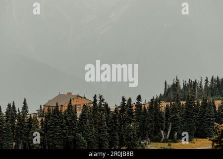 Washington, USA-14 settembre 2022: Vista ad angolo alto dell'Olympic National Park Hurricane Ridge Day Lodge, centro visitatori mesi prima che venisse bruciato fino a t. Foto Stock