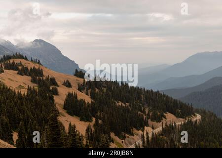 Strada che conduce fino alla cima del Parco Nazionale Olimpico di Hurricane Ridge con montagne a strati sullo sfondo. Foto Stock