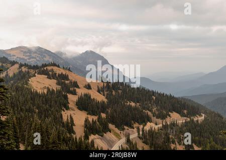 Strada che conduce fino alla cima del Parco Nazionale Olimpico di Hurricane Ridge con montagne a strati sullo sfondo. Foto Stock