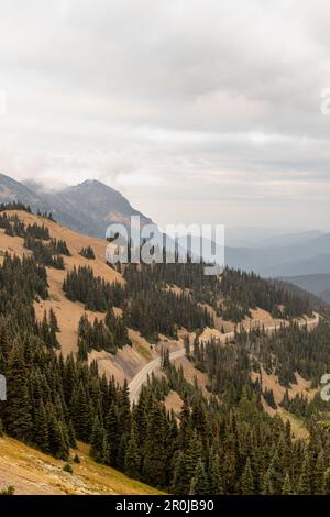 Strada che conduce fino alla cima del Parco Nazionale Olimpico di Hurricane Ridge con montagne a strati sullo sfondo. Foto Stock