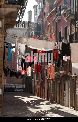 Tipica linea di lavaggio che si stende all'esterno attraverso stretti vicoli, callo, Castello, Venezia, Italia Foto Stock