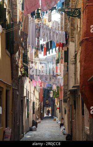 Tipica linea di lavaggio che si stende all'esterno attraverso stretti vicoli, callo, Castello, Venezia, Italia Foto Stock