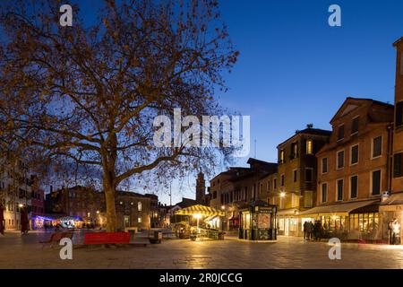 Campo Santa Margherita, luce serale, grande piazza, albero, luci, Ristoranti, Venezia, Italia Foto Stock