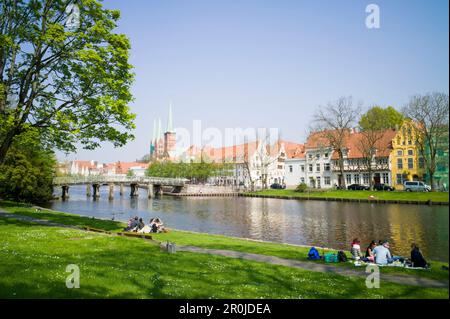 Prato sul fiume Obertrave con vista della città storica, Lubecca, Schleswig-Holstein, Germania Foto Stock