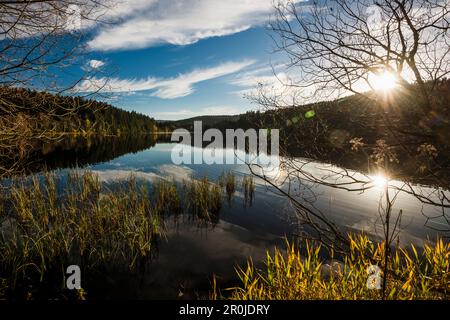 Tramonto, riflesso del cielo nel Windgfaellweiher, vicino al lago Titisee, Foresta Nera, Baden-Württemberg, Germania Foto Stock