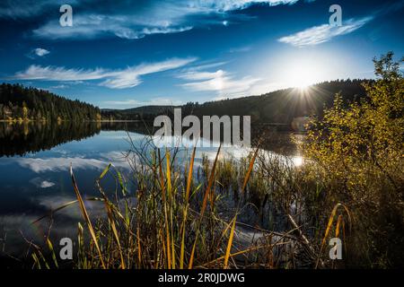 Tramonto, riflesso del cielo nel Windgfaellweiher, vicino al lago Titisee, Foresta Nera, Baden-Wuerttemberg, Germania Foto Stock