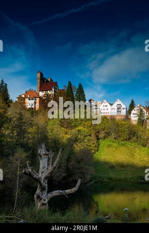 Berneck, Altensteig, distretto di Calw, Foresta Nera, Baden-Wuerttemberg, Germania Foto Stock