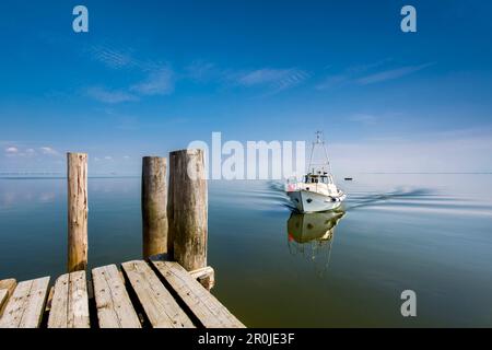 Barca in acqua calma, Hallig Langeness, Nord Isole Frisone, Schleswig-Holstein, Germania Foto Stock