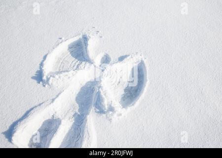 Angelo di neve nella neve fresca d'inverno, Vöhl, Assia, Germania, Europa Foto Stock