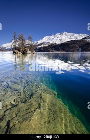 Terra del lago Sils e una piccola isola vicino a Plaun da Lej con Isola sulla riva opposta, Engadin, Grigioni, Svizzera Foto Stock