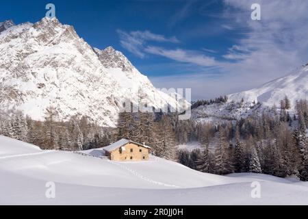 Un rifugio nei pressi dell'alp Lechere Dessous nella neve profonda, circondato dalla foresta di abeti, dietro le cime dei Pointes des Six Niers, Val Ferret, Alpi Pennine, Foto Stock