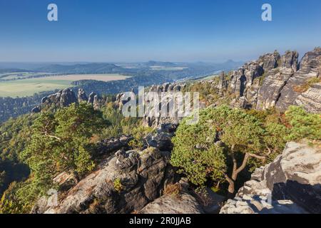 Panorama della Schrammsteine al sole del mattino si vede dal Elbtalaussicht, Svizzera Sassone National Park, in Sassonia, Germania Foto Stock