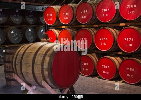 Barili per l'invecchiamento del whisky presso la distilleria di whisky Glenmorangie, Tain, Ross-shire, Highland, Scozia, Regno Unito Foto Stock