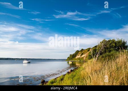 La scogliera di Holnis, la penisola di Holnis, Flensburger Foerde, la costa baltica, Schleswig-Holstein, Germania Foto Stock