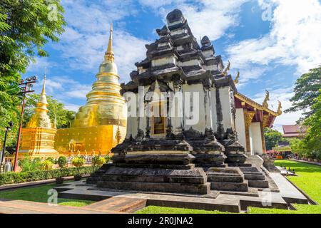 Tempio buddista di Wat Phra Sing, a Chiang mai, Thailandia. Foto Stock