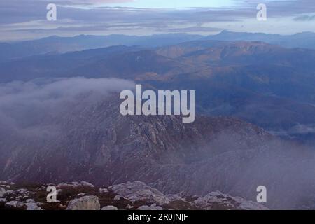 Vista dell'alba dalle pendici di Frenchmans Cap Foto Stock