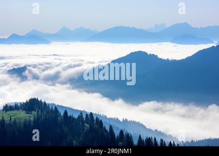 Mare di nebbia sopra la valle di Iller, Aggenstein, Kuehgundkopf, Gimpel e Koellenspitze sullo sfondo, da Sipingerkopf, valle di Balderschwang, Allga Foto Stock