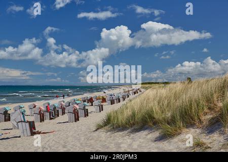 Spiaggia del Mar Baltico vicino a Graal Mueritz, Meclemburgo Pomerania occidentale, Germania Foto Stock