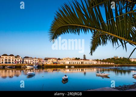 Vista sul Rio Gilao verso il vecchio mercato hall (Mercado da Ribeira), Tavira, Algarve, PORTOGALLO Foto Stock