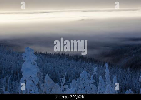 Paesaggio innevato con nebbia mattutina a Dalton Highway, Yukon-Koyukuk Census Area, Alaska, USA Foto Stock