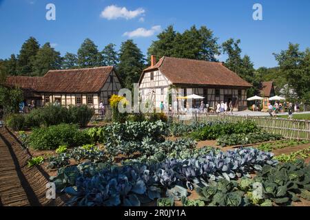 Orto ed edifici a Fränkisches Freiluftmuseum Fladungen museo all'aperto Foto Stock