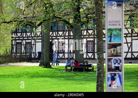 Nell'abbazia, Blaubeuren vicino a Ulm, Baden-Wurttemberg, Germania Foto Stock