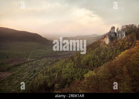 Rovine della fortezza di Reussen, Neidlingen, distretto di Esslingen, Alpe Svevo, Baden-Wuerttemberg, Germania Foto Stock
