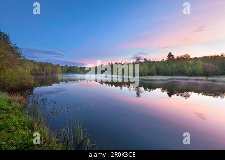 Stagno in riserva naturale Rotes Moor, Rhoen, Hesse, Germania Foto Stock