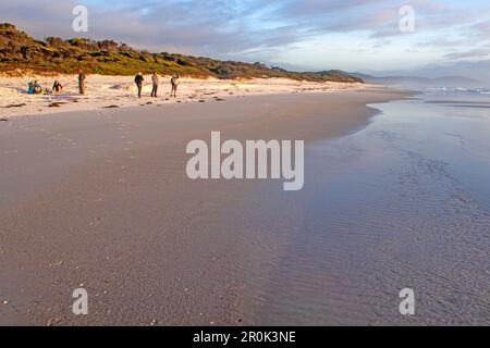 Gruppo di persone sulle spiagge amichevoli all'alba Foto Stock