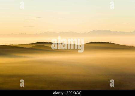 Vista dal sud di Belchen sulla valle Wiesental e le Alpi svizzere, atmosfera mattutina con nebbia, autunno, Foresta Nera, Baden-Wuerttemberg, Germania Foto Stock