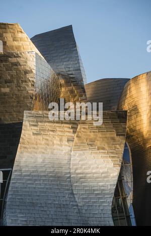 Museo Guggenheim Bilbao, dettaglio della facciata titan al tramonto, museo di arte moderna e contemporanea, architetto Frank Gehry, Bilbao, Paesi Baschi, S Foto Stock