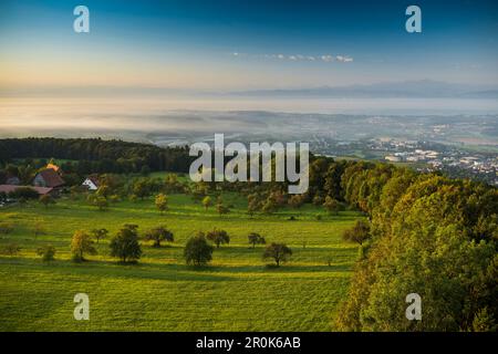 Vista da Gehrenberg all'alba, Markdorf, Lago di Costanza, Baden-Württemberg, Germania Foto Stock