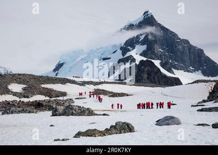 Passeggeri della nave da crociera di spedizione MV Sea Spirit (spedizione Poseidon) nel paesaggio Rongé Island, Errera Channel, Graham Land, penisola antartica, Foto Stock