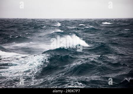 Mari accidentati con onde di otto metri viste dalla nave da crociera della spedizione MV Sea Spirit (spedizione Poseidon) Drake Passage tra l'Antartide e l'Argentina Foto Stock