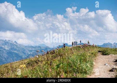 Escursioni sul Fellhorn ridge, panorama di montagna, sentieri escursionistici, estate, Oberstdorf, Oberallgaeu, Germania Foto Stock