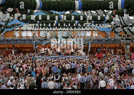 Tenda della birra Schottenhamel, Oktoberfest, Monaco, Baviera alta, Baviera, Germania Foto Stock