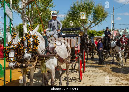 Carrozza trainata da cavalli, Feria de Abril, Fiera di Siviglia, festa primaverile, Siviglia, Siviglia, Andalusia, Spagna, Europa Foto Stock