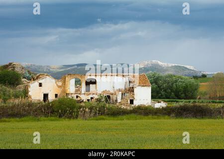 Rovina casetta abbandonata, Canete la Real, vicino Ronda, provincia di Malaga, Andalusia, Spagna, Europa Foto Stock