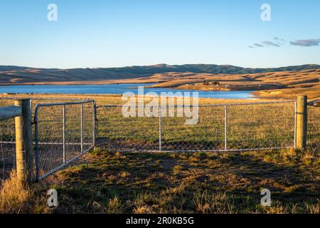 Cancelli dell'azienda agricola, lago Onslow, vicino a Roxburgh, Otago, South Island, Nuova Zelanda Foto Stock