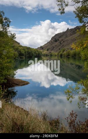 Roxburgh Gorge Trail, e il fiume Clutha, vicino Alexandra, Otago, South Island, Nuova Zelanda Foto Stock