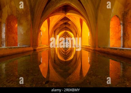 Banos Dona Maria de Padilla, bagni, Palacio Gotico, Real Alcazar, Palazzo reale, Architettura in stile Mudejar, Patrimonio dell'Umanità dell'UNESCO, Siviglia, Andalusia, Foto Stock