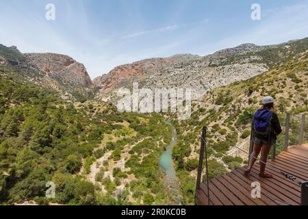 Escursionista su una piattaforma panoramica, Caminito del Rey, via ferrata, sentiero escursionistico, gola, Rio Guadalhorce, fiume, Desfiladero de los Gaitanes, vicino ad Ardales, ma Foto Stock