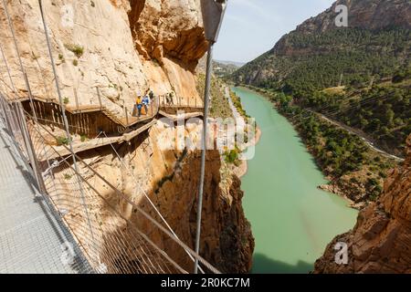 Escursionisti che attraversano il ponte sul Caminito del Rey, via ferrata, sentiero escursionistico, gola, Rio Guadalhorce, fiume, Desfiladero de los Gaitanes, vicino ad Ardale Foto Stock