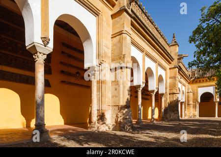 Patio de los Naranjos, patio, cortile interno, la Mezquita, Cattedrale di Mezquita, moschea e cattedrale, centro storico di Cordoba, UNESCO World Herita Foto Stock