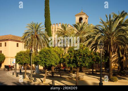 Carrozza trainata da cavalli con aranci e palme, Alcazar de los Reyes Cristianos, residenza reale, centro storico di Cordoba, UNESCO World Her Foto Stock