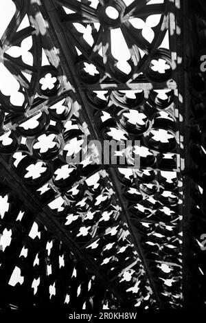 Die Gotische Ornamentik im Turm des Freiburger Münsters, 1938. L'ornamento gotico nella torre della Cattedrale di Friburgo, 1938. Foto Stock