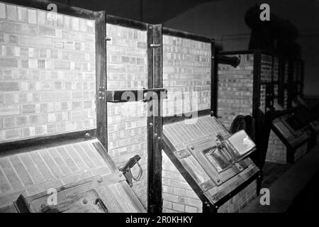 Die Rückseite der Verbrennungsöfen im Krematorium des Konzentrationslagers Buchenwald, 1960. Il retro degli inceneritori nel crematorio del campo di concentramento di Buchenwald, 1960. Foto Stock